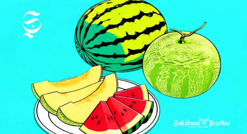 foto slider headline