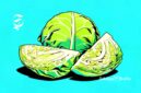 Ilustrasi kubis - sukabumiheadline.com