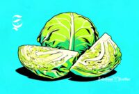 Ilustrasi kubis - sukabumiheadline.com