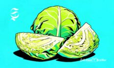 9 kecamatan penghasil kubis di Sukabumi, cek kandungan gizinya