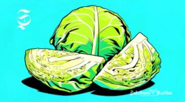 Ilustrasi kubis - sukabumiheadline.com