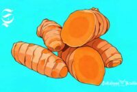 Ilustrasi kunyit - sukabumiheadline.com