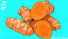 Ilustrasi kunyit - sukabumiheadline.com