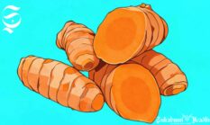 Mengenal khasiat kunyit dan 28 kecamatan penghasil di Sukabumi