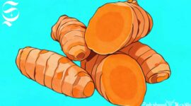 Ilustrasi kunyit - sukabumiheadline.com