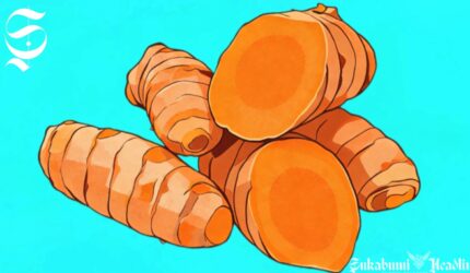 Ilustrasi kunyit - sukabumiheadline.com