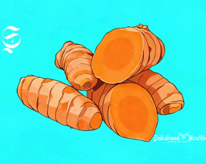 Ilustrasi kunyit - sukabumiheadline.com