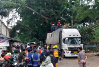 Pohon tumbang di Jalan Bogor-Ciawi-Sukabumi - Ist