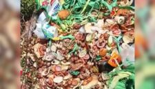 Limbah dapur MBG di Sukabumi - Ist