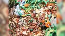 Limbah dapur MBG di Sukabumi - Ist