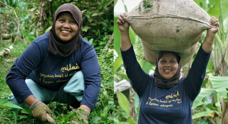 foto slider headline