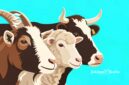 Ilustrasi hewan kurban kambing, domba dan sapi - sukabumiheadline.com