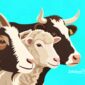 Ilustrasi hewan kurban kambing, domba dan sapi - sukabumiheadline.com