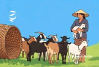 Ilustrasi memelihara dan menggembala kambing - sukabumiheadline.com