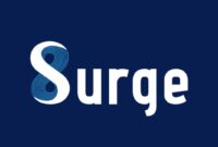 Logo PT Solusi Sinergi Digital - Ist