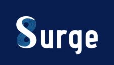 Logo PT Solusi Sinergi Digital - Ist
