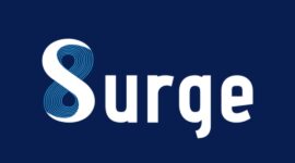 Logo PT Solusi Sinergi Digital - Ist