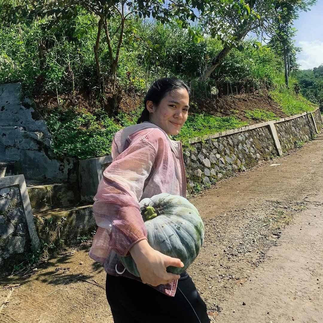 Sheryl Sheinafia panen labu - @sherylsheinafia