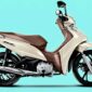 Honda Biz 125 - Honda