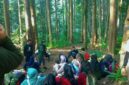 Hutan Pendidikan Gunung Walat atau HPGW Sukabumi dikelola IPB University - Ist