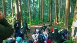 Hutan Pendidikan Gunung Walat atau HPGW Sukabumi dikelola IPB University - Ist