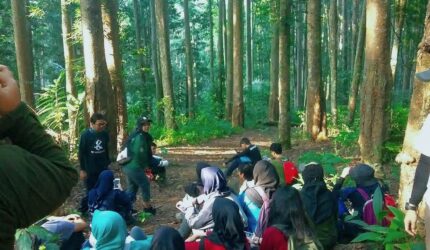 Hutan Pendidikan Gunung Walat atau HPGW Sukabumi dikelola IPB University - Ist