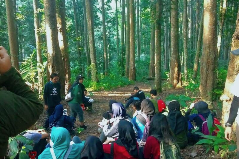 Hutan Pendidikan Gunung Walat atau HPGW Sukabumi dikelola IPB University - Ist