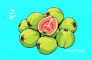 Ilustrasi jambu biji - sukabumiheadline.com