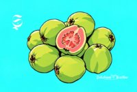 Ilustrasi jambu biji - sukabumiheadline.com
