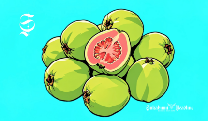 Ilustrasi jambu biji - sukabumiheadline.com