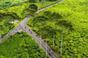 Jalan menembus perkebunan teh di Jawa Barat - Ist