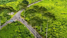 Jalan menembus perkebunan teh di Jawa Barat - Ist