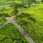 Jalan menembus perkebunan teh di Jawa Barat - Ist