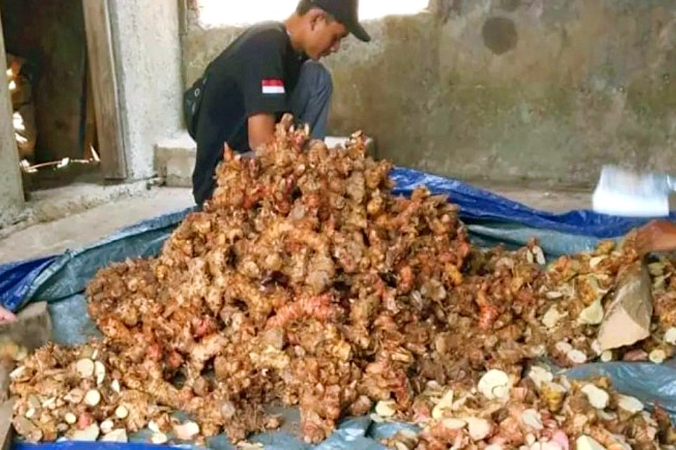 Poktan Jampang Manggung dari Kampung Cikontrang, Desa Purabaya, Kecamatan Purabaya, berhasil memproduksi minyak atsiri - Pemkab Sukabumi