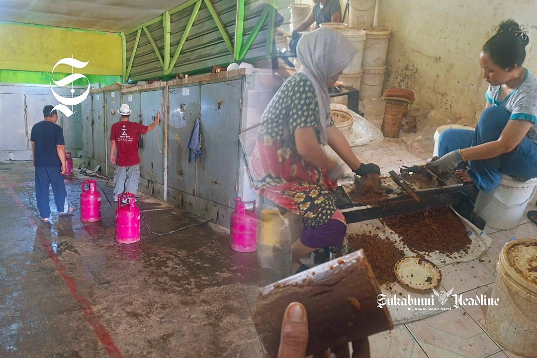 Pria asal Sukabumi ini raup omzet Rp3 miliar per bulan hanya dari gula semut 1 Pabrik pengolahan gula semut dan gula merah cair - sukabumiheadline.com