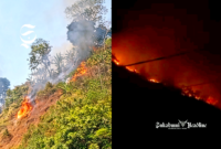 Puncak Habibie terbakar - Ist