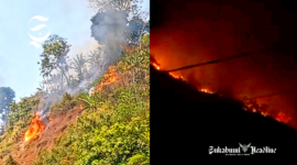 Puncak Habibie terbakar - Ist