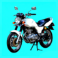 Suzuki Thunder - Suzuki