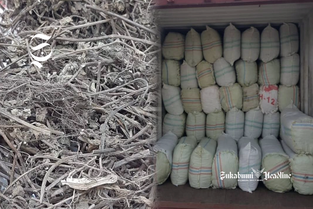 Ratusan ton daun cincau diekspor ke China dan ASEAN, peluang untuk petani Sukabumi 1 Ekspor daun cincau kering - Balai Karantina