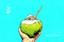 Ilustrasi air kelapa muda disedot langsung dari buahnya - sukabumiheadline.com
