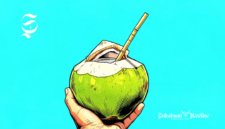 Ilustrasi air kelapa muda disedot langsung dari buahnya - sukabumiheadline.com