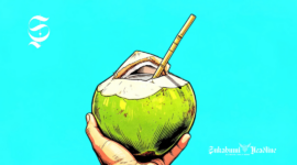 Ilustrasi air kelapa muda disedot langsung dari buahnya - sukabumiheadline.com