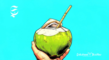 Ilustrasi air kelapa muda disedot langsung dari buahnya - sukabumiheadline.com
