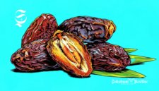 Ilustrasi buah kurma - sukabumiheadline.com