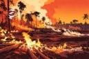Ilustrasi kebakaran hutan - sukabumiheadline.com