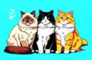 Ilustrasi kucing jenis Himalaya - sukabumiheadline.com