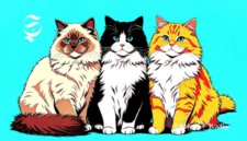 Ilustrasi kucing jenis Himalaya - sukabumiheadline.com