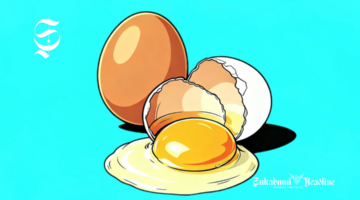 Ilustrasi telur ayam - sukabumiheadline.com