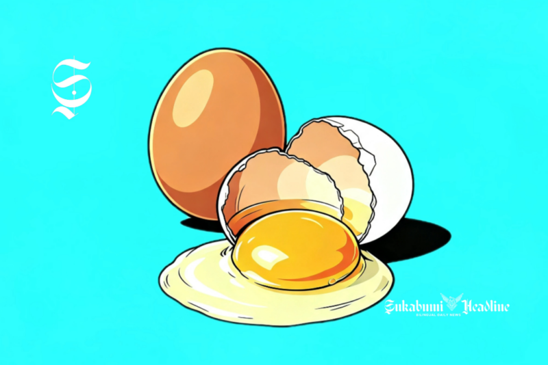 Ilustrasi telur ayam - sukabumiheadline.com