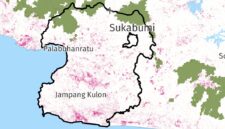 Kawasan hutan primer (hijau) dan kawasan tutupan hutan yang hilang (pink) - GNW